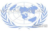 Martin Díaz Acevedo Daniela Calderón Tobar. Índice Historia Organización de las Naciones Unidas “Enfermedades y Curas” de la ONU Consejo de Seguridad.