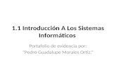1.1 Introducción A Los Sistemas Informáticos Portafolio de evidencia por: “Pedro Guadalupe Morales Ortiz.”