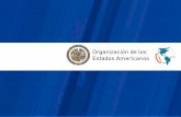 Comité Interamericano contra el Terrorismo CICTE 1999 – principal foro para los gobiernos de los Estados Miembros, destinado a promover la cooperación.