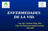 ENFERMEDADES DE LA VID. Ing. Agr. Vivienne Gepp, MSc. Curso de Protección Vegetal Frutícola. Año 2006.