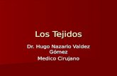 Los Tejidos Dr. Hugo Nazario Valdez Gómez Medico Cirujano.