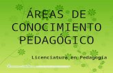 ÁREAS DE CONOCIMIENTO PEDAGÓGICO Licenciatura en Pedagogía.