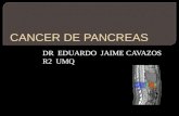DR EDUARDO JAIME CAVAZOS R2 UMQ.  El páncreas es un órgano en forma de martillo que esta situado en el abdomen ; en la porción superior y posterior.