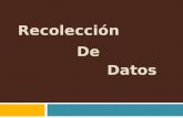 Recolección De Datos. RECOLECCIÓN DE DATOS EN EL PROYECTO DE INVESTIGACIÓN.