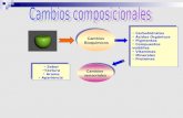 Cambios Bioquímicos Cambios Bioquímicos Cambios sensoriales Cambios sensoriales Carbohidratos Ácidos Orgánicos Pigmentos Compuestos volátiles Vitaminas.
