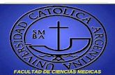 1 FACULTAD DE CIENCIAS MEDICAS. 2 INTRODUCCION AUDITORIA MEDICA Prof. Dr. Fioravanti Vicente vrfioravanti@yahoo.com.ar.