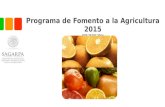 Programa de Fomento a la Agricultura 2015 DOF 28 DIC 2014.