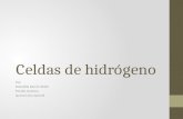 Celdas de hidrógeno Por: Bobadilla Barrón Belén Peralta Gustavo Quiroz Lima Samuel.