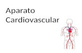 Aparato Cardiovascular. El aparato cardiovascular comprende el corazón, los vasos sanguíneos y los vasos linfáticos Conjunto de órganos que intervienen.
