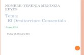 N OMBRE : Y ESENIA M ENDOZA R EYES Tema: El Ornitorrinco Consentido Grupo: CP-2 Fecha: 28-Octubre-2011.