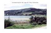 Contaminación del Lago de Tota, Colombia.. Estudio de la cuenca del reservorio "Los Laureles", Honduras.
