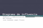 Diagrama de influencia Análisis y Administración del Riesgo José Armando López Flores.