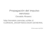 Propagación del impulso nervioso 25 de marzo de 2010 Osvaldo Álvarez.  CURSOS_2010/FISIOLOGIA GENERAL.