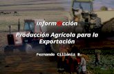 Inform@cción Producción Agrícola para la Exportación Fernando Cillóniz B.