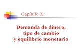 Capítulo X: Demanda de dinero, tipo de cambio y equilibrio monetario.