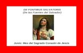 DE FONTIBUS SALVATORIS (De las Fuentes del Salvador) Junio: Mes del Sagrado Corazón de Jesús.