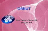 POR: ERIKA RODRIGUEZ. GRADO: 7ºA.. Introducción.¿Qué es Orkut?.¿Quién creo Orkut?.Ventana de Orkut.Servicios que ofrece Orkut.Para que sirve Orkut.Ventajas.
