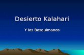 Desierto Kalahari Y los Bosquimanos. Historia (Kalahari) El primer explorador extranjero que consiguió atravesarlo fue David Livingstone en 1849. Peor.