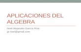 APLICACIONES DEL ALGEBRA Noel Alejandro García Ríos gr.noel@gmail.com.