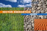 SECTOR ENERGÉTICO PEMEX. Hoja 231/07/2015 Presentación CONTENIDO  Sector energético en México.  Comunicación interna y externa  Robótica - Tecnología.