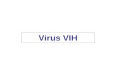 Virus VIH. Características de los retrovirus  Virus de ARN monocatenario de polaridad positiva envueltos  Codifican un enzima, transcriptasa inversa.