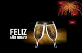 Vocabulario: Brindar = to toast Celebrar = to celebrate Suerte = luck Salud = health/cheers Vestirse = to wear Vispera = eve Noche vieja = old night (New.