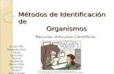 Métodos de Identificación de Organismos Recurso: Artículos Científicos Grupo #6: Eduardo Díaz Tania González Sylvia Oquendo María Orta Laralissa Rivera.