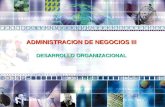 ADMINISTRACION DE NEGOCIOS III DESARROLLO ORGANIZACIONAL.