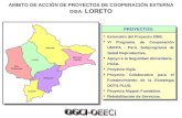 Alto Amazonas Loreto Maynas Mariscal Castilla Requena Ucayali PROYECTOS: l Extensión del Proyecto 2000. l VI Programa de Cooperación UNFPA - Perú. Subprograma.