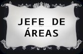JEFE DE ÁREAS. DEFINICIÓN DE JEFE Es la cabeza de una organización. Se trata de una persona que se encuentra en el puesto superior de una jerarquía y.