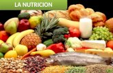 N U T R I C I O N LA NUTRICION COMO CIENCIA IMPORTANCIA DE LA NUTRICION TIPOS DE NUTRICION SEGÚN TIPOS DE NUTRICION FACTORES DEL SOBREPESO CAUSAS DEL.