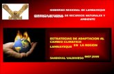 GOBIERNO REGIONAL DE LAMBAYEQUE GERENCIA REGIONAL DE RECURSOS NATURALES Y GESTION DEL MEDIO AMBIENTE ESTRATEGIAS DE ADAPTACION AL CAMBIO CLIMATICO EN LA.