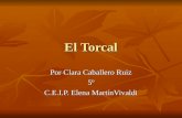 El Torcal Por Clara Caballero Ruiz 5º C.E.I.P. Elena MartínVivaldi.