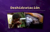 Deshidratación. 70% agua 70% agua ¿Cuál es la causa de la deshidratación? No tomar suficiente agua Sudar bastante Diarrea o vómito Demasiado enfermo.
