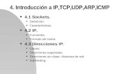 4. Introducción a IP,TCP,UDP,ARP,ICMP n 4.1 Sockets. u Definición. u Caracteristicas. n 4.2 IP. u Funciones. u Formato de trama. n 4.3 Direcciones IP.