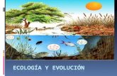 Ecología  Significa “Estudio del Ambiente”  La Ecología es el estudio de las relaciones entre los organismos vivos y su ambiente.  Es también la ciencia.