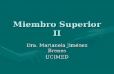 Miembro Superior II Dra. Marianela Jiménez Brenes UCIMED.