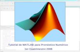 Tutorial de MATLAB para Pronóstico Numérico 1er Cuatrimestre 2008.