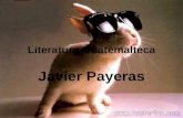 Literatura Guatemalteca Javier Payeras. Javier Payeras (Ciudad de Guatemala, 1974), es escritor, artista conceptual y tiene estudios en Filosofía y Letras.