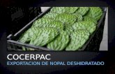 Texto COCERPAC EXPORTACION DE NOPAL DESHIDRATADO.