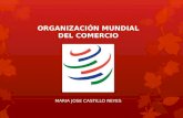 ORGANIZACIÓN MUNDIAL DEL COMERCIO MARIA JOSE CASTILLO REYES.