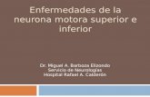 ENFERMEDADES DE LA NEURONA MOTORA SUPERIOR E INFERIOR Dr. Miguel A. Barboza Elizondo Servicio de Neurologías Hospital Rafael A. Calderón.