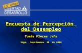 Tomás Flores Jaña Stgo., Septiembre 28 de 2005 Encuesta de Percepción del Desempleo.