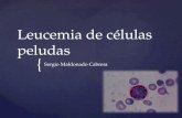 { Leucemia de células peludas Sergio Maldonado Cabrera.