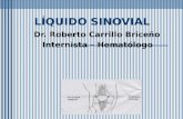 LÍQUIDO SINOVIAL Dr. Roberto Carrillo Briceño Internista – Hematólogo.