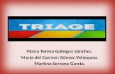 María Teresa Gallegos Sánchez. María del Carmen Gómez Velásquez. Martina Serrano García.