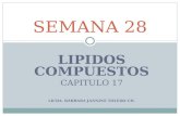 LIPIDOS COMPUESTOS CAPITULO 17 LICDA. BÁRBARA JANNINE TOLEDO CH. SEMANA 28.