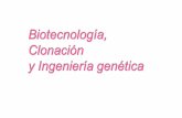 Ingenieria genetica Ingeniería Genética Es la tecnologia del control y transferencia de ADN de un organismo a otro, posibilitando corrección de defectos.