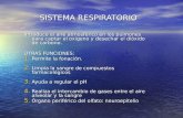 SISTEMA RESPIRATORIO Introduce el aire atmosférico en los pulmones para captar el oxigeno y desechar el dióxido de carbono. OTRAS FUNCIONES: 1. Permite.