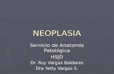 NEOPLASIA Servicio de Anatomía Patológica HSJD Dr. Ruy Vargas Baldares Dra Yetty Vargas S.
